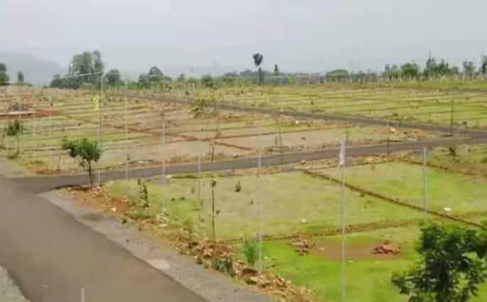 ਅਜਿਹੇ 'ਚ ਕਈ ਵਾਰ ਇਹ ਵੀ ਦੇਖਿਆ ਗਿਆ ਹੈ ਕਿ ਲੋਕ ਅਜਿਹੀਆਂ ਜ਼ਮੀਨਾਂ 'ਤੇ ਕਬਜ਼ੇ ਕਰ ਲੈਂਦੇ ਹਨ। ਉਨ੍ਹਾਂ ਨੂੰ ਹੜੱਪ ਲੈਂਦੇ ਹਨ।