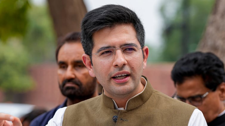 Raghav Chadha targetted modi government in Rajya Sabha Lok sabh election 2024 BJP की लोकसभा चुनाव में क्यों घटीं सीटें? राघव चड्ढा ने राज्यसभा में एक-एक कर गिनाए ये कारण