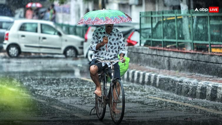 Rajasthan Monsoon Update IMD Rain alert in Alwar Dausa Karaulu Sawai Madhopur   राजस्थान में जारी रहेगा झमाझम बरसात का दौर, इन जिलों में खिला-खिला रहेगा मौसम