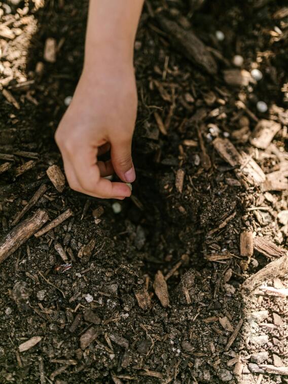 खेती से पहले जरूर कराएं सॉइल टेस्ट