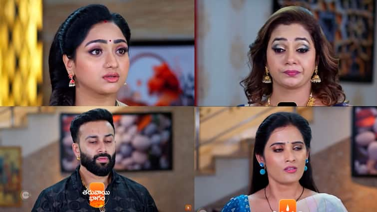 trinayani serial today july 26th episode written update in telugu Trinayani Serial Today July 26th: 'త్రినయని' సీరియల్: నయని, విశాల్‌లకు శాపం తగిలేలా తిలోత్తమా చేస్తుందా..  విస్తుపోయేలా చేసిన విశాలాక్షి!