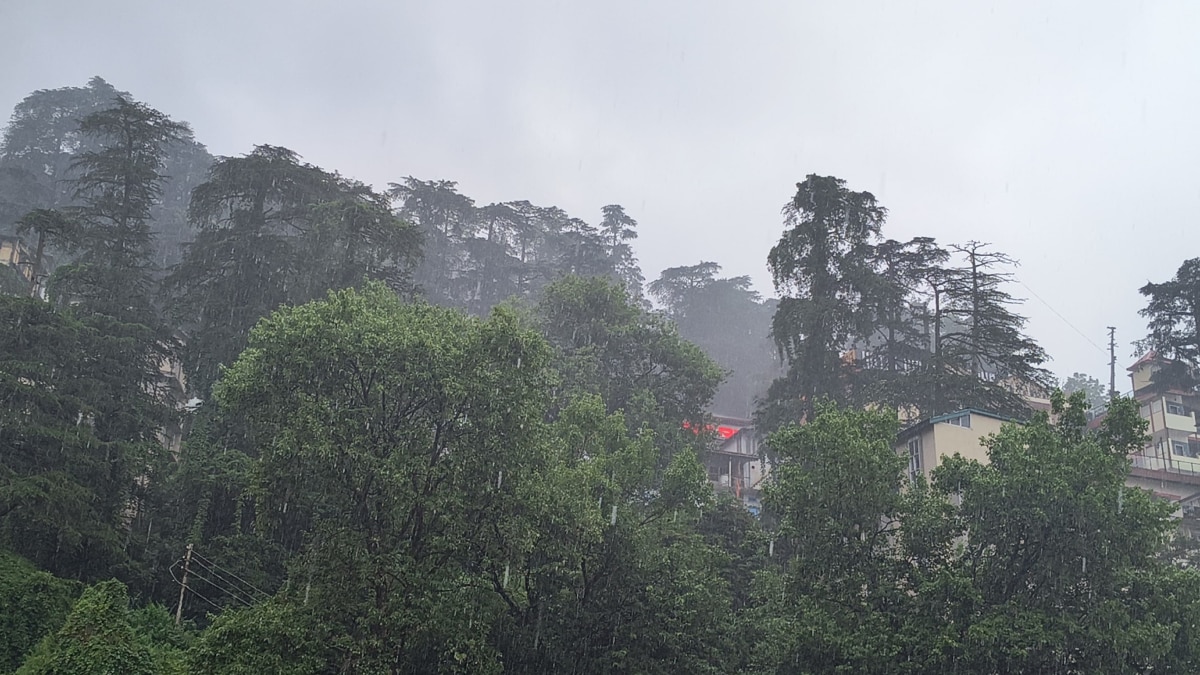 Himachal Rain: शिमला में बीते 24 घंटे में हुई 50 मिलीमीटर बारिश, जानें- अगले पांच दिनों तक कैसा रहेगा मौसम?