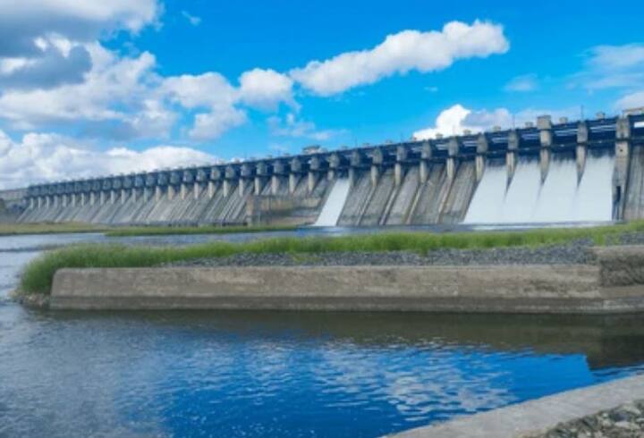 मुसळधार पावसामुळं नदी नाले दुथडी भरुन वाहत आहे. धरणांच्या पाणीसाठ्यात वाढ झाली आहे.