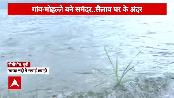 UP News: Sharda River Wrecks Havoc, Pilibhit Suffers From Its Rise In Water Level | ABP News