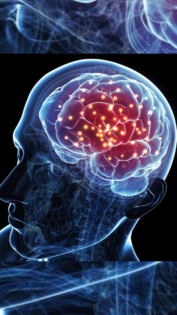 मेंदूला निरोगी ठेवण्यासाठी ही 3 महत्त्वाचे जीवनसत्त्वे!