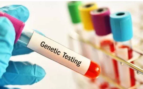 ਇੱਕ ਸਿਹਤਮੰਦ ਭਰੂਣ ਦੀ ਚੋਣ ਕਰਨਾ: ਜੈਨੇਟਿਕ ਟੈਸਟਿੰਗ ਸਾਨੂੰ ਇਹ ਦੱਸਦੀ ਹੈ ਕਿ ਕੀ ਭਰੂਣ ਨੂੰ ਕੋਈ ਬਿਮਾਰੀ ਜਾਂ ਵਿਕਾਰ ਹੈ। ਇਹ ਸਿਹਤਮੰਦ ਭਰੂਣ ਚੁਣਨ ਵਿੱਚ ਸਾਡੀ ਮਦਦ ਕਰਦਾ ਹੈ।