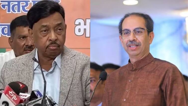 Narayan Rane on Uddhav Thackeray can't speak well, if he wants to read the budget, I will give notes say Narayan Rane in Mumbai Maharashtra Politics Marathi News Narayan Rane on Uddhav Thackeray : उद्धव ठाकरेंना चांगल्या भाषेत बोलता येत नाही, त्यांना बजेट वाचायचं असेल तर मी टिपणं देईल : नारायण राणे