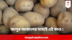 বাংলায় আগুনদাম আলুর, এরই মধ্যে রাতের অন্ধকারে চলছিল এই কাণ্ড!