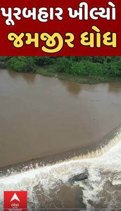 Gir Somnath | Jamjir Waterfall | ગુજરાતનો આ ધોધ તમારું મન મોહી લેશે... જુઓ વીડિયોમાં