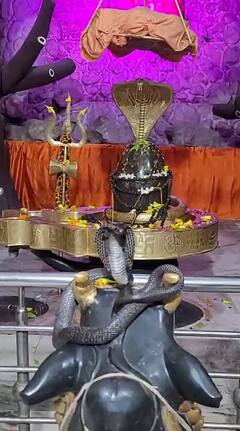राजगढ़ में शिवलिंग पर फन फैलाए डेढ़ घंटे विराजमान रहे नागराज, मंदिर में लगा भक्तों का तांता