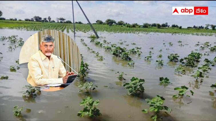 Chandrababu announced that he will help all the flood victims Chandrababu :  వరద బాధితులందరకీ సాయం - చంద్రబాబు కీలక ప్రకటన