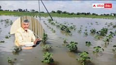 వరద బాధితులందరకీ సాయం - చంద్రబాబు కీలక ప్రకటన