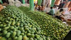 Anwar Ratol Mango: आम के नाम पर पाकिस्तान लूट रहा था झूठी वाहवाही, भारत के गांव ने दुनिया भर में करा दी किरकिरी