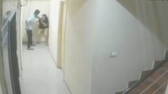 Bengaluru PG Murder: CCTV Footage Shows Bihar Woman Being Dragged, Stabbed To Death. Killer Absconding