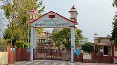 यूपी के किसान इस पैदावार से होंगे मालामाल, 500 रुपये से शुरू कर सकते हैं इसकी खेती