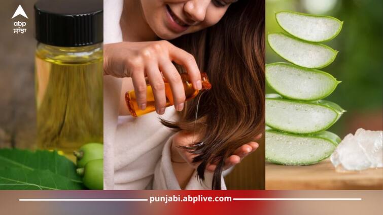 Itching in head that occurs during rainy season, these 6 things are useful to get rid of it, know right way to use them Itchy Skin: ਬਰਸਾਤ ਦੇ ਮੌਸਮ 'ਚ ਹੋਣ ਲੱਗ ਜਾਂਦੀ ਸਿਰ ‘ਚ ਖੁਜਲੀ, ਛੁਟਕਾਰਾ ਪਾਉਣ ਲਈ ਇਹ 6 ਚੀਜ਼ਾਂ ਲਾਹੇਵੰਦ, ਜਾਣੋ ਇਨ੍ਹਾਂ ਦੀ ਵਰਤੋਂ ਦਾ ਸਹੀ ਤਰੀਕਾ