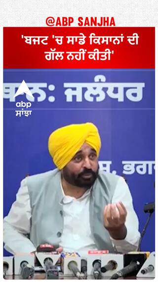 Bhagwant Mann| 'ਬਜਟ 'ਚ ਸਾਡੇ ਕਿਸਾਨਾਂ ਦੀ ਗੱਲ ਨਹੀਂ ਕੀਤੀ'