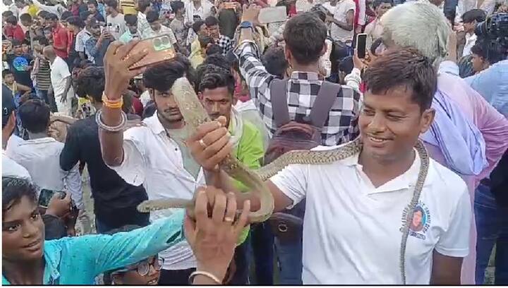 मेले में अचानक से इतने सांपों को देखने के बाद मुंह से आवाज नहीं निकलती है. इस मेले में भगत के साथ-साथ बच्चे-युवा से लेकर बूढ़े तक गले में जहरीले सांप इस तरह लपेटे रहते हैं कि मानों सांप इनके दोस्त हों. यहां लोग जहरीले सांप के साथ खेलते हैं. उसे गले में हाथों लपेटकर कई तरह के करतब करते हैं.