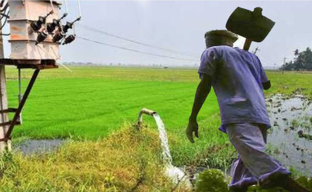 Farmers will get free electricity for 5 years 44 lakh farmers in the state will benefit शेतकऱ्यांना 5 वर्ष मोफत वीज मिळणार, राज्यातील किती शेतकऱ्यांना फायदा होणार? सरकारनं काढला जीआर