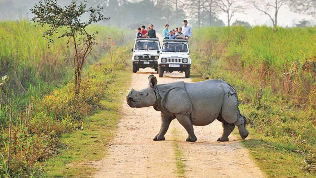 Women Travel : 'स्वतःसाठी सबुरी घे..तुझ्या रंगी रंगुनी घे!' निसर्गप्रेमी महिलांनो सोलो ट्रिपला निघताय? 'ही' Wildlife Destinations ठरतील योग्य