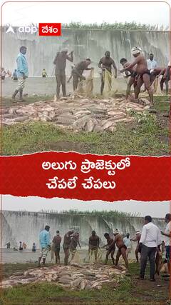 అలుగు ప్రాజెక్టులో చేపలే చేపలు.!