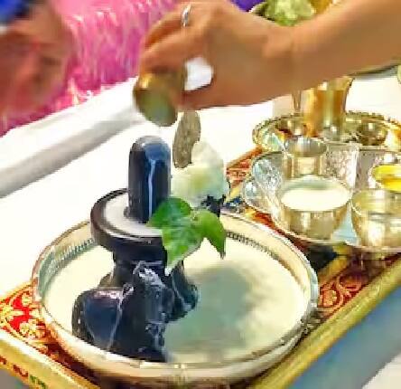 જો શનિની સાડાસાતીને કારણે પીડા થતી હોય અથવા રાહુ-કેતુ સંબંધિત સમસ્યાઓ હોય તો શ્રાવણમાં શનિવારે શિવલિંગ પર કાળા તલ મિશ્રિત જળ ચઢાવવું જોઈએ.