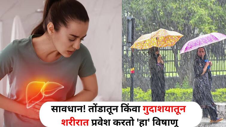 Health lifestyle marathi news Beware Hepatitis virus enters body through mouth or rectum danger increases during monsoons know doctors tips Health : सावधान! तोंडातून किंवा गुदाशयातून शरीरात प्रवेश करतो 'हा' विषाणू, पावसाळ्यात वाढतो धोका, डॉक्टर सांगतात...