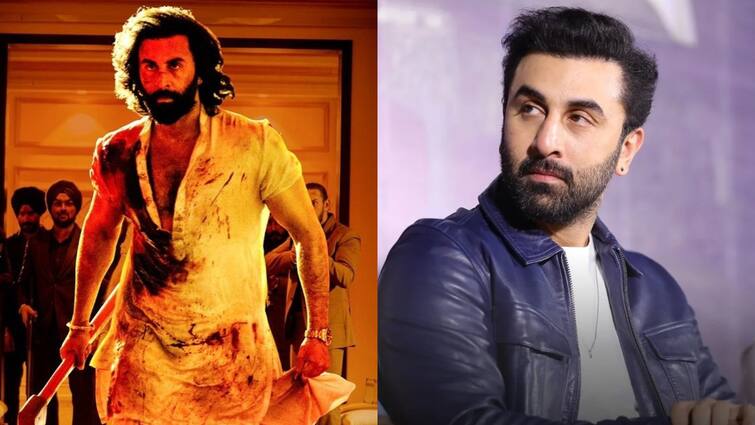 Ranbir Kapoor Reacts on Animal Movie Controversy For First Time Ranbir Kapoor: ఫస్ట్‌టైం 'యానిమల్‌' వివాదంపై స్పందించిన రణ్‌బీర్‌ - మరోసారి ఇలాంటి సినిమా చేయనన్నాను..