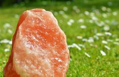 Astrology Tips : எடுத்த காரியம் வெற்றி பெற உங்க பையில் இதை எடுத்து செல்லுங்க!