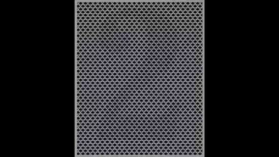 ट्विटर पर साझा किए गए इस ऑप्टिकल इल्युजन की इस तस्वीर को आप सॉल्व कर पाएंगे? ब्लैक-एंड-व्हाइट ऑप्टिकल भ्रम लोगों को छिपी हुई संख्या को पहचानने की चुनौती दे रहा है. क्या आप इस बारे में गहराई से जानने और छिपी हुई संख्या का पता लगाने के लिए तैयार हैं?