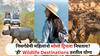 Women Travel : 'स्वतःसाठी सबुरी घे..तुझ्या रंगी रंगुनी घे!' निसर्गप्रेमी महिलांनो सोलो ट्रिपला निघताय? 'ही' Wildlife Destinations ठरतील योग्य
