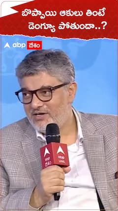 బొప్పాయి ఆకులు తింటే డెంగ్యూ పోతుందా..?