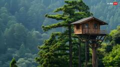 Famous Tourist Place: વરસાદમાં મિત્રો સાથે ફરવા માટે બેસ્ટ છે આ હિલ સ્ટેશન, એક વખત મુલાકાત લેશો તો બોલી ઉઠશો- મિની કશ્મીર