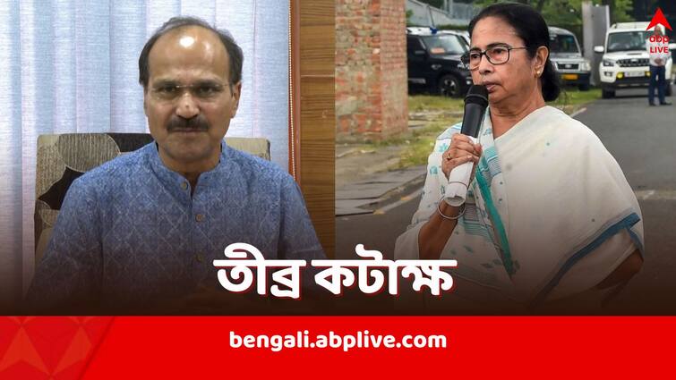 Adhir Ranjan Chowdhury says Mamata Banerjee envious of Rahul Gandhi NITI aayog meeting debacle Adhir Ranjan Chowdhury: রাহুলের উপর ঈর্ষা মমতার, এখন মশারির মধ্যে মশারি খাটাচ্ছেন: অধীর