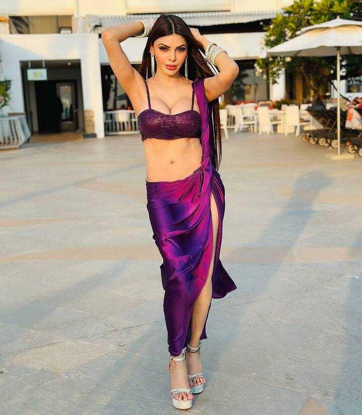 शर्लिन चोपड़ा ने अब तक 'कामसूत्रा', 'रेड स्वास्तिक', 'वजह तुम हो', 'नॉटी बॉय', 'टाइम पास', जवानी दीवानी', 'रकीब' और 'गेम' जैसी फिल्मों में नजर आ चुकी हैं.