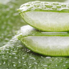 Aloe Vera Gel : ਮਾਹਿਰ ਤੋਂ ਜਾਣੋ ਗਲੋਇੰਗ ਸਕਿਨ ਲਈ ਐਲੋਵੇਰਾ ਜੈੱਲ ਦੀ ਵਰਤੋਂ ਕਰਨ ਦਾ ਤਰੀਕਾ