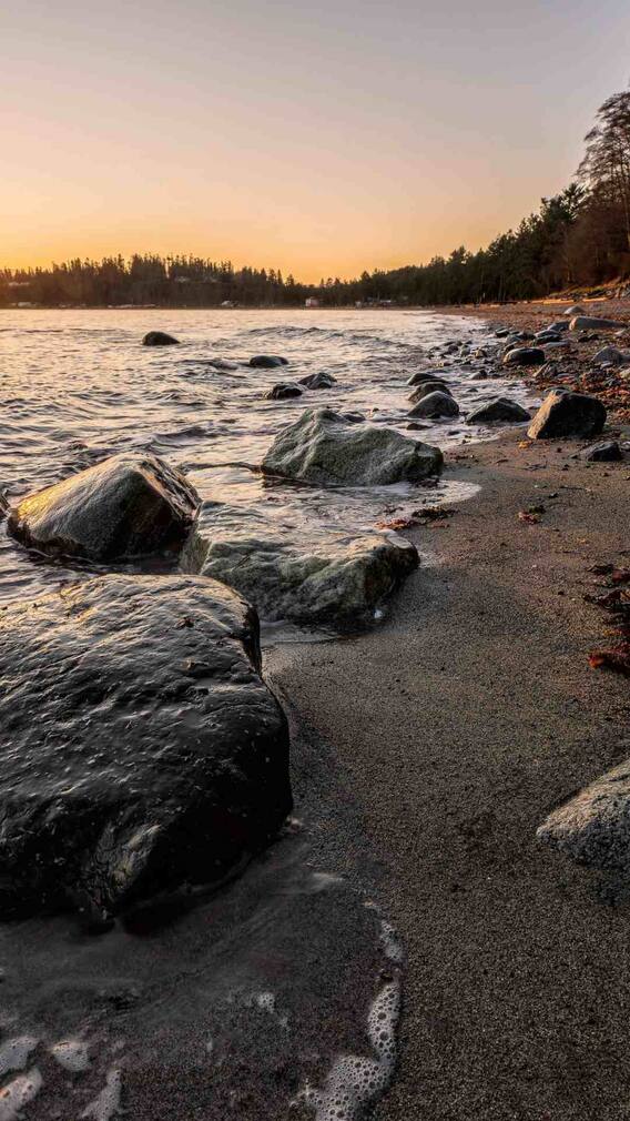 मलबे में मिली 171 साल पुरानी शराब, सुरक्षा के लिए लगानी पड़ी पुलिस