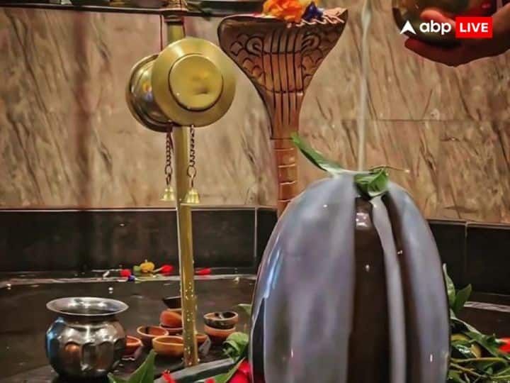 पितृ दोष से मुक्ति के लिए इस दिन नाग की पूजा प्रत्यक्ष मूर्ति या चित्र के रुप में की जाती है. इस दिन सर्पों का दूध से स्नान कर उनकी पूजा करने का विधान है.