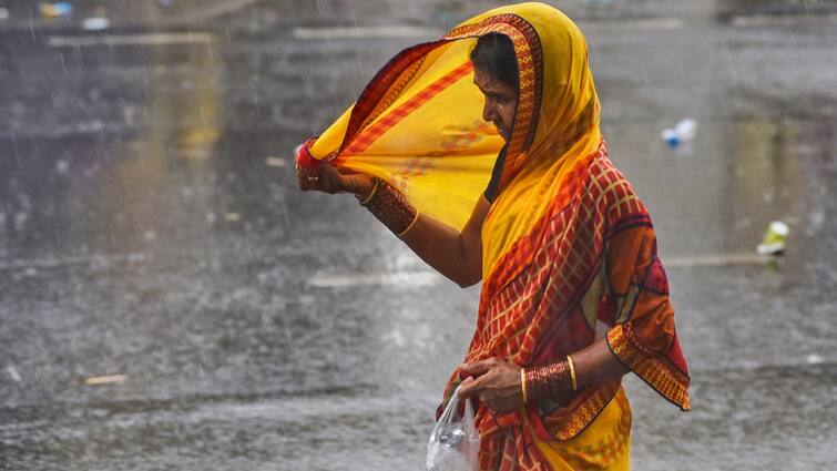 Weather in Telangana Andhra Pradesh Hyderabad on 28 July 2024 Rains updates latest news here Weather Latest Update: బంగాళాఖాతంలో అల్పపీడనం - నేడు తెలుగు రాష్ట్రాల్లో మోస్తరు వర్షాలు: ఐఎండీ