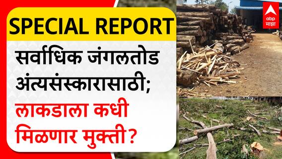 Raj Thackeray Special Report : सर्वाधिक जंगलतोड अंत्यसंस्कारासाठी; लाकडाला कधी मिळणार मुक्ती?