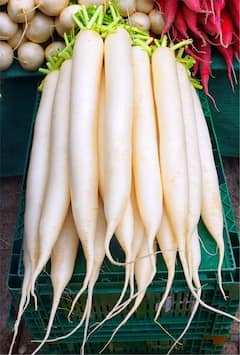 ਜ਼ਿਆਦਾ ਮੂਲੀ ਖਾਣ ਦੇ ਨੁਕਸਾਨ: ਸਿਹਤ ਨੂੰ ਲੱਗ ਸਕਦੇ ਗੰਭੀਰ ਝਟਕੇ