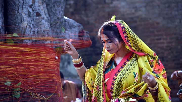 শ্রাবণ মাসের অমাবস্যা হরিয়ালি অমাবস্যা বা সুবজের অমাবস্যা হিসেবে খ্যাত। শ্রাবণের এই সময় বর্ষার কারণে চারিদিকে প্রকৃতি সবুজ সাজে সেজে ওঠে তাই তার এই নামকরণ হয়েছে।(ছবি সৌজন্য- পিটিআই)