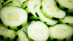 வெள்ளரிக்காய் கசக்குதா? எப்படி சரிசெய்வது? சில டிப்ஸ் இதோ!