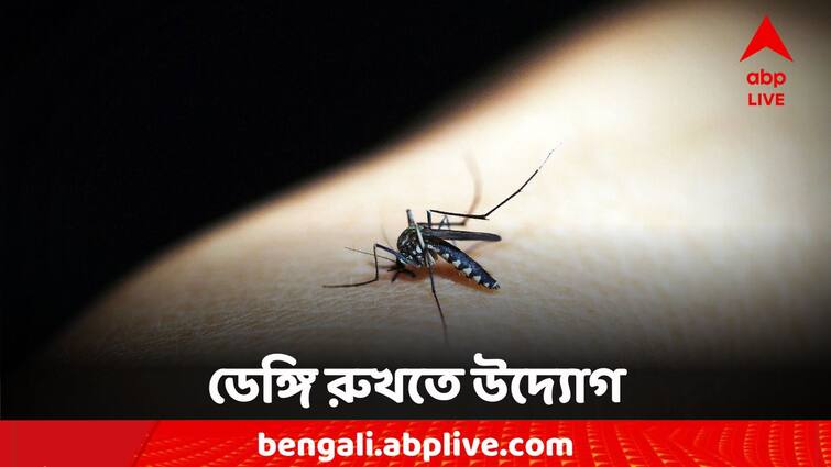 West Bengal Dengue Kolkata KMC started help line number WB Dengue: বর্ষায় ঊর্ধ্বমুখী ডেঙ্গির গ্রাফ, হেল্প লাইন নম্বর চালু পুরসভার