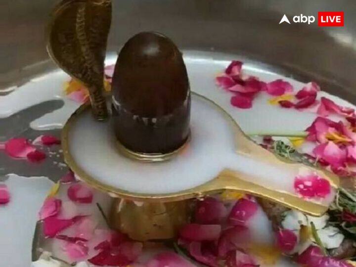 नाग पंचमी के दिन शाम को सूर्यास्त होते ही नाग देवता के नाम पर मंदिरों और घर के कोनों में मिट्टी के कच्चे दिए में गाय का दूध रखें.