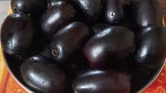 Health : वजन कमी करण्यासाठी जांभूळ म्हणजे एक वरदानच! अशा पद्धतीने करा सेवन