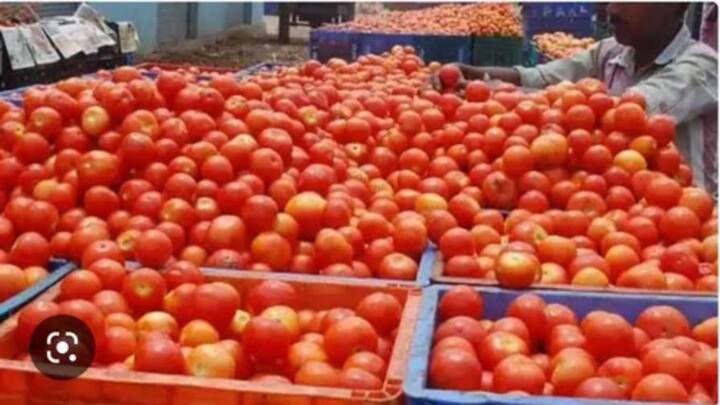 NCCF said that the mega sale will start from July 29, 2024. Gradually it will be implemented in all areas of Delhi NCR. Subsidy sale of tomatoes will currently take place in Krishi Bhawan, CGO Complex, Lodhi Colony, Hauz Khas, Parliament Street, INA Market and various areas of Noida, Rohini and Gurugram. According to NCCF, with the help of this sale, we want to stop the rising prices of tomatoes in the market. Apart from this, consumers will also benefit from this.