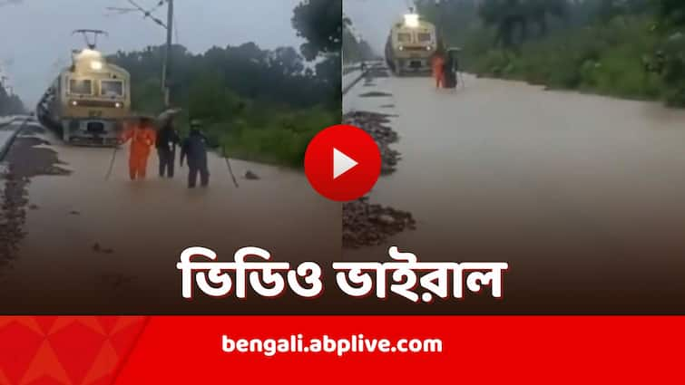 Viral Video shows pointsmen with umbrellas and torches lead train through waterlogged track in Madhya Pradesh Viral Video: ভারী বর্ষণে রাস্তা হারাল ট্রেন, ছাতামাথায়-টর্চহাতে পথ দেখালেন রেলকর্মীরা