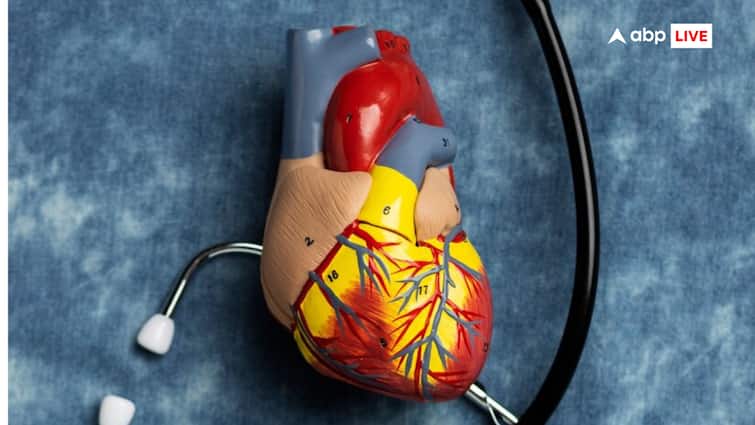 How Many Times Can a Person Survive a Heart Attack Learn the Symptoms and Prevention एक व्यक्ति कितनी बार हार्ट अटैक आने पर बच सकता है? जानें लक्षण और उपाय