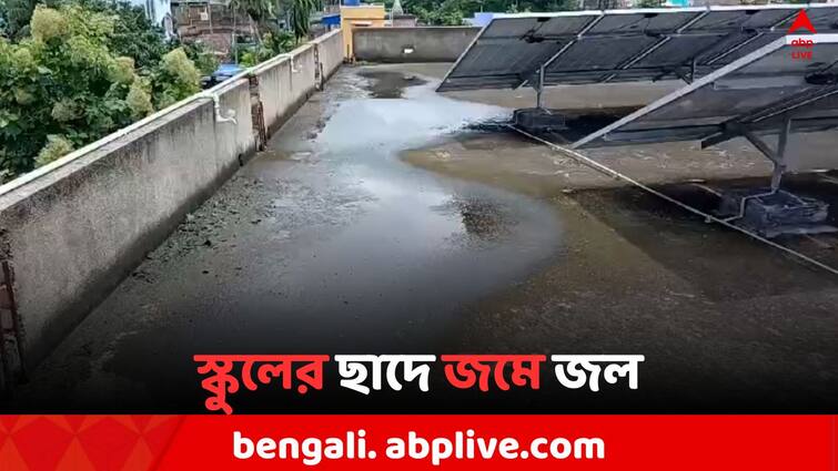 Dengue Awareness drive by Bongaon municipality, Warns girls school authority for water logging in school rooftop Dengue News: ডেঙ্গি রোধে উদ্যোগ, ছাদে জমা জল নিয়ে স্কুল কর্তৃপক্ষকে সতর্ক করলেন পুরপ্রধান